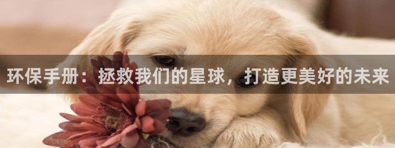 jdb什么游戏最稳定
