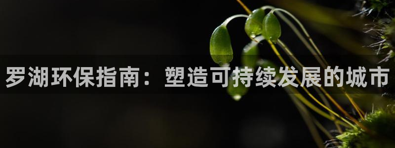 jdb电子平台能提现吗是真的吗还是假的