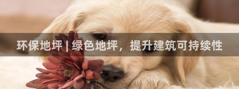 jdb电子首页平台