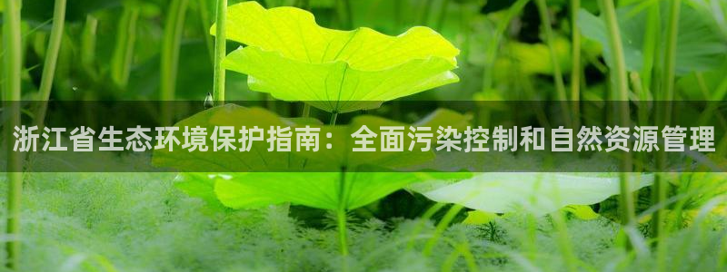 jdb游戏星期几放水