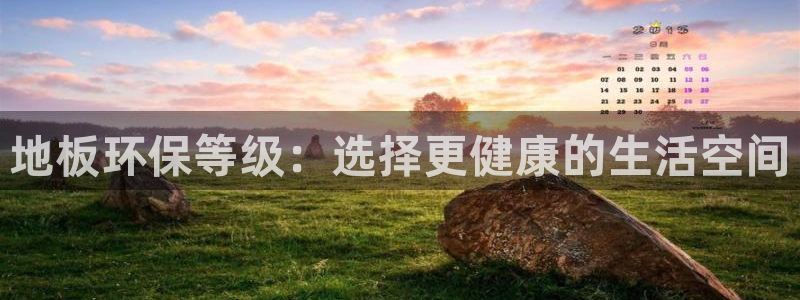 jdb电子台湾黑熊