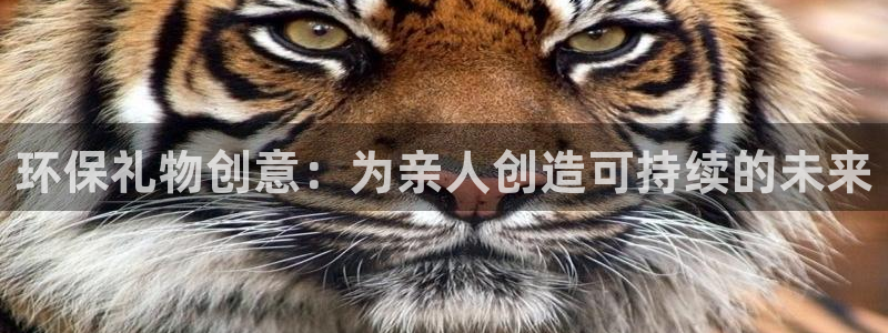 JDB电子网址