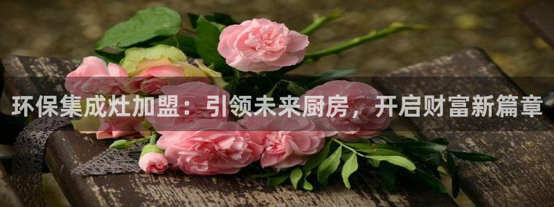 jdb游戏飞鸟排队一般几点最好玩