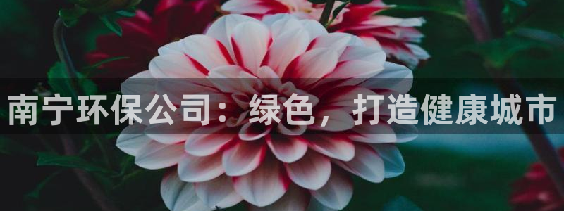 jdb电子爆大奖视频