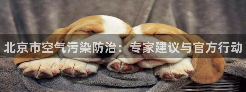 jdb电子试玩平台大奖视频