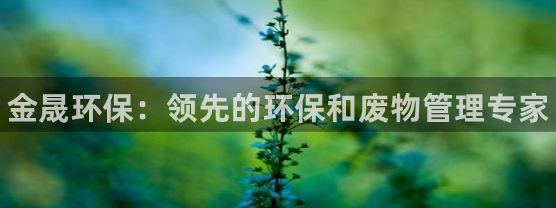 jdb电子飞鸟派对
