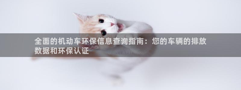 jdb电子飞鸟派对游戏爆大奖图片