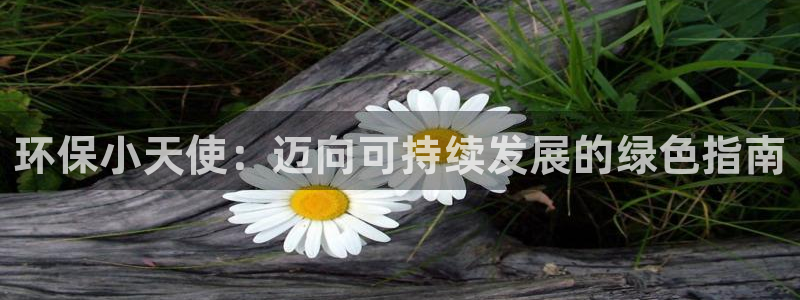 jdb电子飞鸟派对游戏