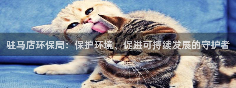 jdb电子游戏哪个容易赢