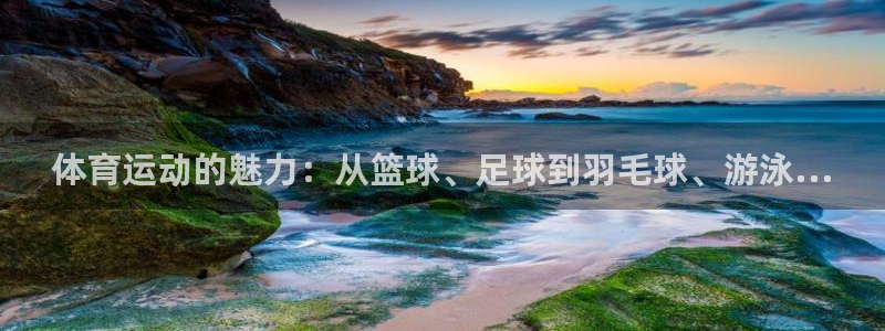 ug环球官网：体育运动的魅力：从篮球、足球到羽毛球、游泳...