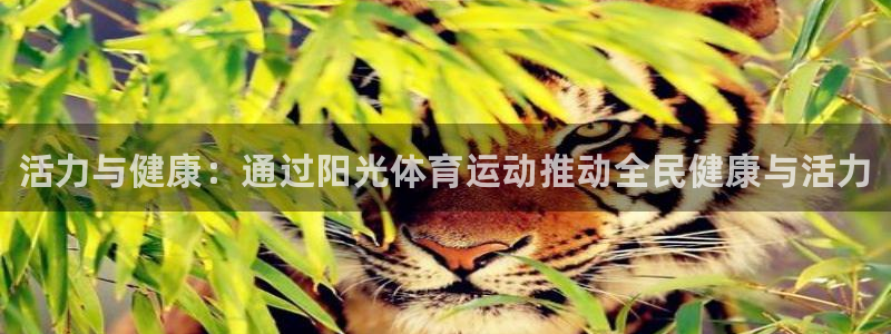 ug环球官网：活力与健康：通过阳光体育运动推动全民健康与活力