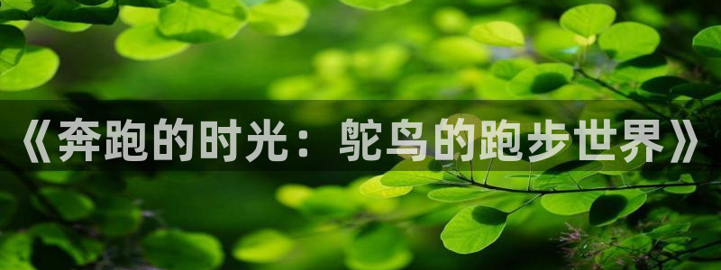 ug环球官网登录入口：《奔跑的时光：鸵鸟的跑步世界》