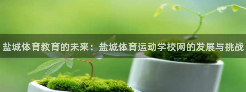 菲律宾ug环球官网：盐城体育教育的未来：盐城体育运动学校网的发展与挑战