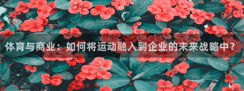 ug环球官网注册：体育与商业：如何将运动融入到企业的未来战略中？