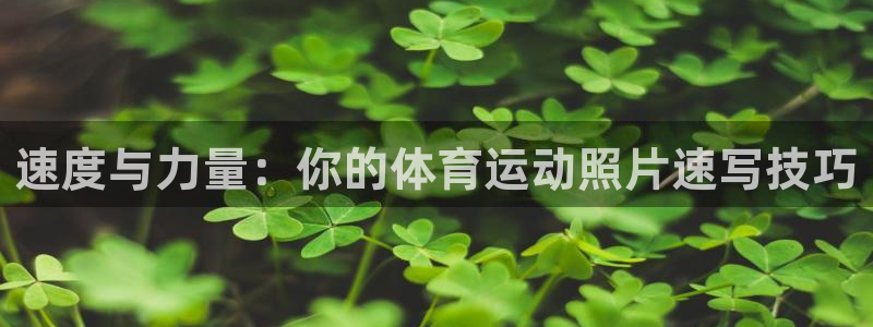 ug环球官网：速度与力量：你的体育运动照片速写技巧