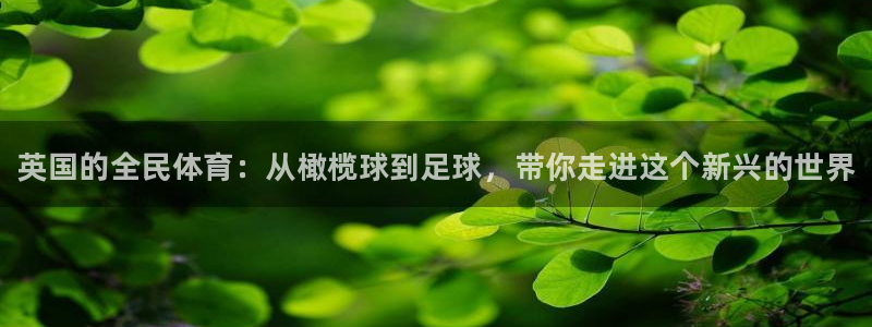 ug环球官网注册：英国的全民体育：从橄榄球到足球，带你走进这个新兴的世界