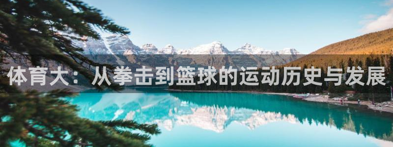 菲律宾ug环球官网：体育大：从拳击到篮球的运动历史与发展