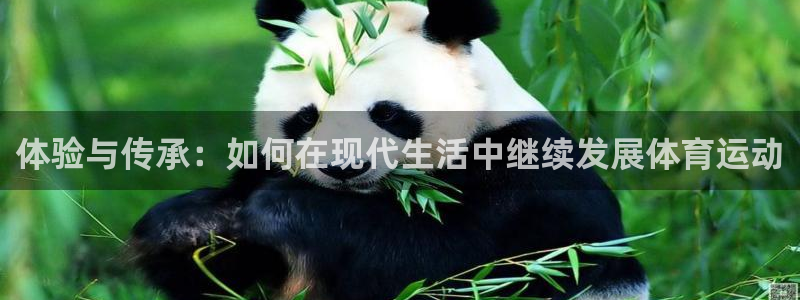 ug环球官网注册：体验与传承：如何在现代生活中继续发展体育运动