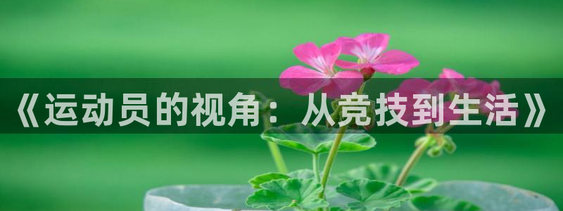 ug环球官网登录入口：《运动员的视角：从竞技到生活》