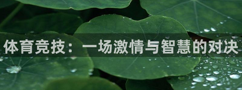 ug环球官网注册：体育竞技：一场激情与智慧的对决