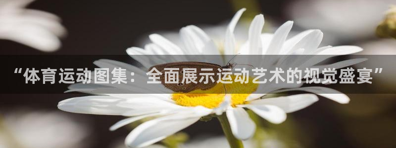 菲律宾ug环球官网：“体育运动图集：全面展示运动艺术的视觉盛宴”