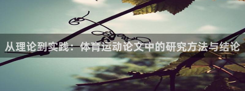 ug环球官网：从理论到实践：体育运动论文中的研究方法与结论