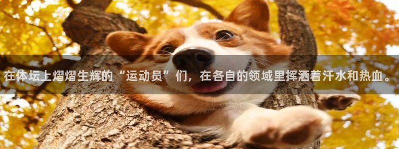 ug环球官网登录入口：在体坛上熠熠生辉的“运动员”们，在各自的领域里挥洒着汗水和热血。