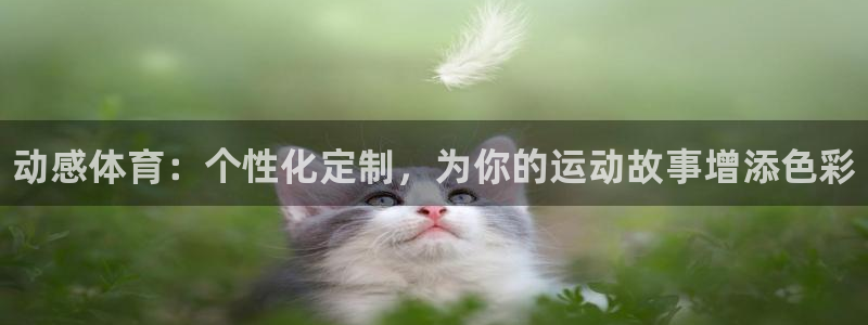 ug环球官网：动感体育：个性化定制，为你的运动故事增添色彩