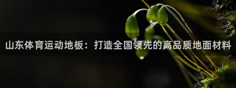 菲律宾ug环球官网