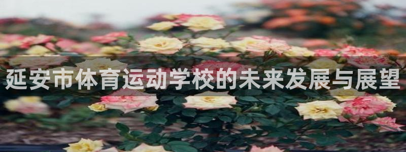 ug环球官网注册：延安市体育运动学校的未来发展与展望