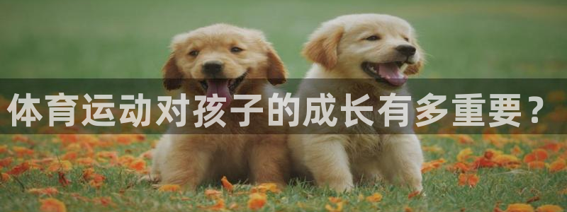 菲律宾ug环球官网：体育运动对孩子的成长有多重要？