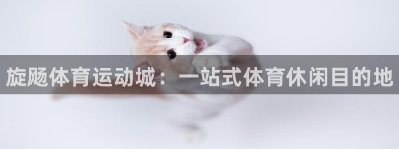 ug环球官网登录入口：旋飏体育运动城：一站式体育休闲目的地